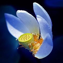 第一人称恐怖新作《卡戎的楼梯》新预告 10月发售